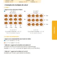 Problèmes ! Nombres et calculs - CE2 - Fichier ressources_Page_07