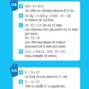 Problèmes ! Nombres et calculs - CM2 - Corrigés_Page_6