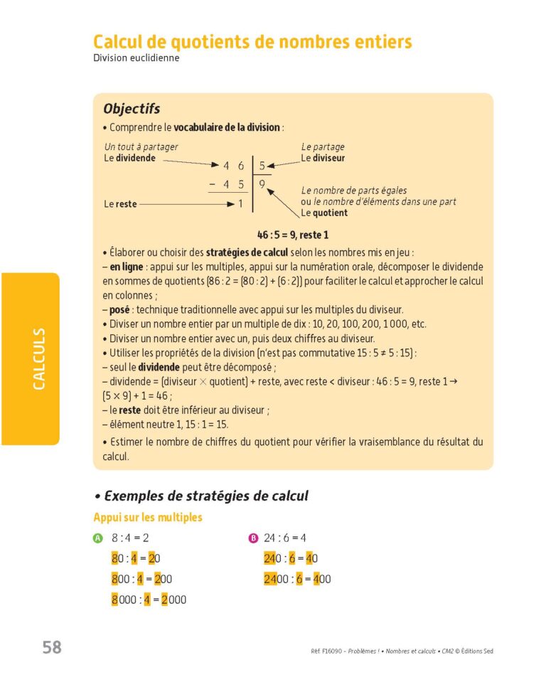 Aperçu : PROBLEMES ! – Nombres et calculs – CM2