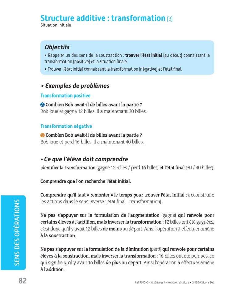 Aperçu : PROBLEMES ! – Nombres et calculs – CM2
