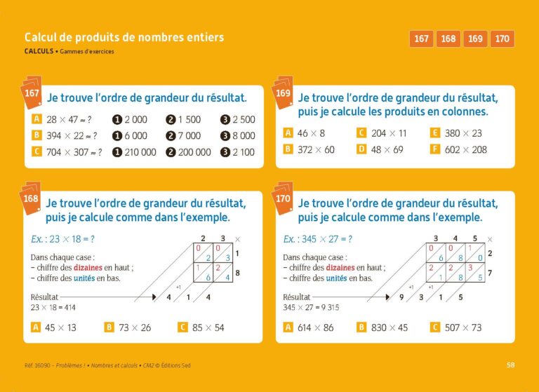 Aperçu : PROBLEMES ! – Nombres et calculs – CM2