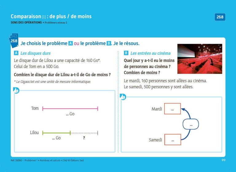 Aperçu : PROBLEMES ! – Nombres et calculs – CM2