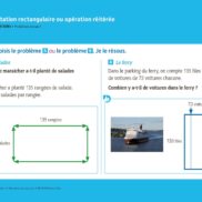Problèmes ! Nombres et calculs - CM2 - Fichiers_Page_6