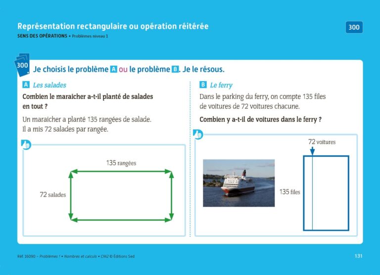Aperçu : PROBLEMES ! – Nombres et calculs – CM2