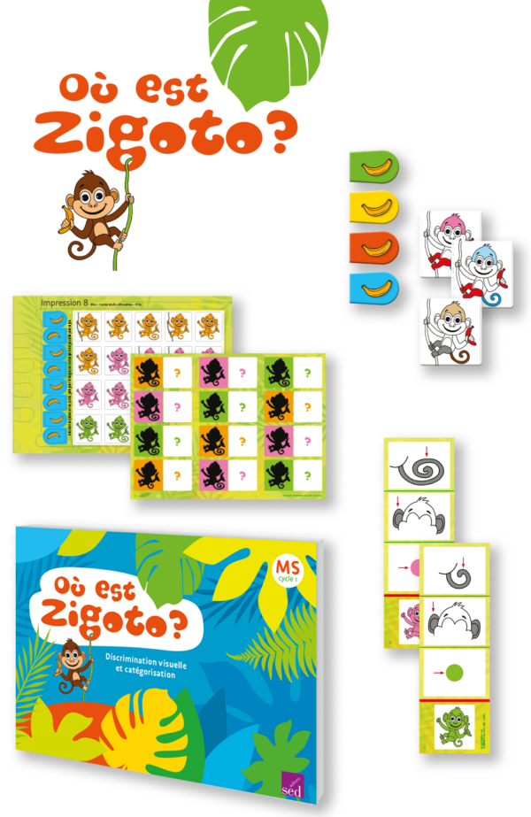 Zigoto MS