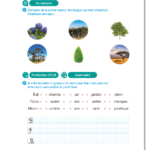 BULI - Cahier de l'élève n°2 - CP - Programmes 2025 – aperçu 9