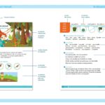 BULI - Manuel de l'élève - CP - Programmes 2025 – aperçu 3