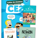 FRANCE ET MATHIS - Pack réussite - CE2 – aperçu 1