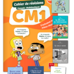 FRANCE ET MATHIS - Pack excellence - CM1 – aperçu 1