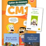 FRANCE ET MATHIS - Pack réussite - CM1 – aperçu 1