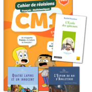 France-et-Mathis-CM1-Pack-reussite-600x921