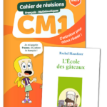 FRANCE ET MATHIS - Pack soutien - CM1 – aperçu 1