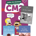 FRANCE ET MATHIS - Pack réussite - CM2 – aperçu 1