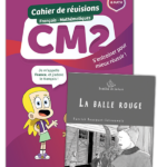 FRANCE ET MATHIS - Pack soutien - CM2 – aperçu 1