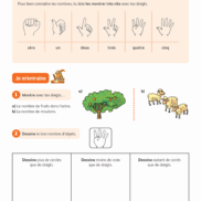Pages de Maths+_CP_Fichier-competences_HD.pdf_Page_02