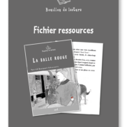 image BDL pour site sed_la balle rouge- FR
