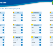 Veritech VOCABULAIRE 2