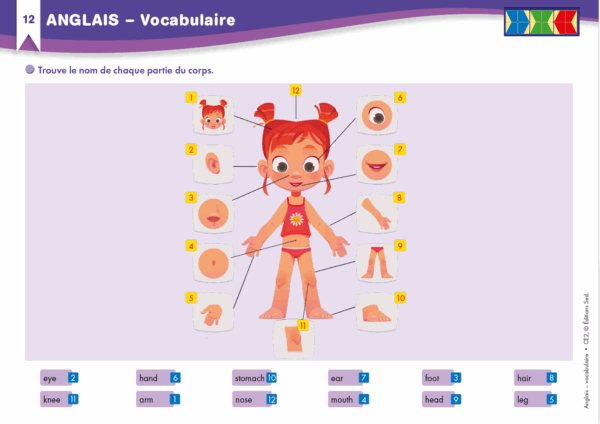 Veritech anglais 4