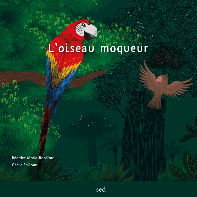 Aperçu : LECTURE FACILITEE – 12x3 albums + 2x3 albums DYS + 1 FR