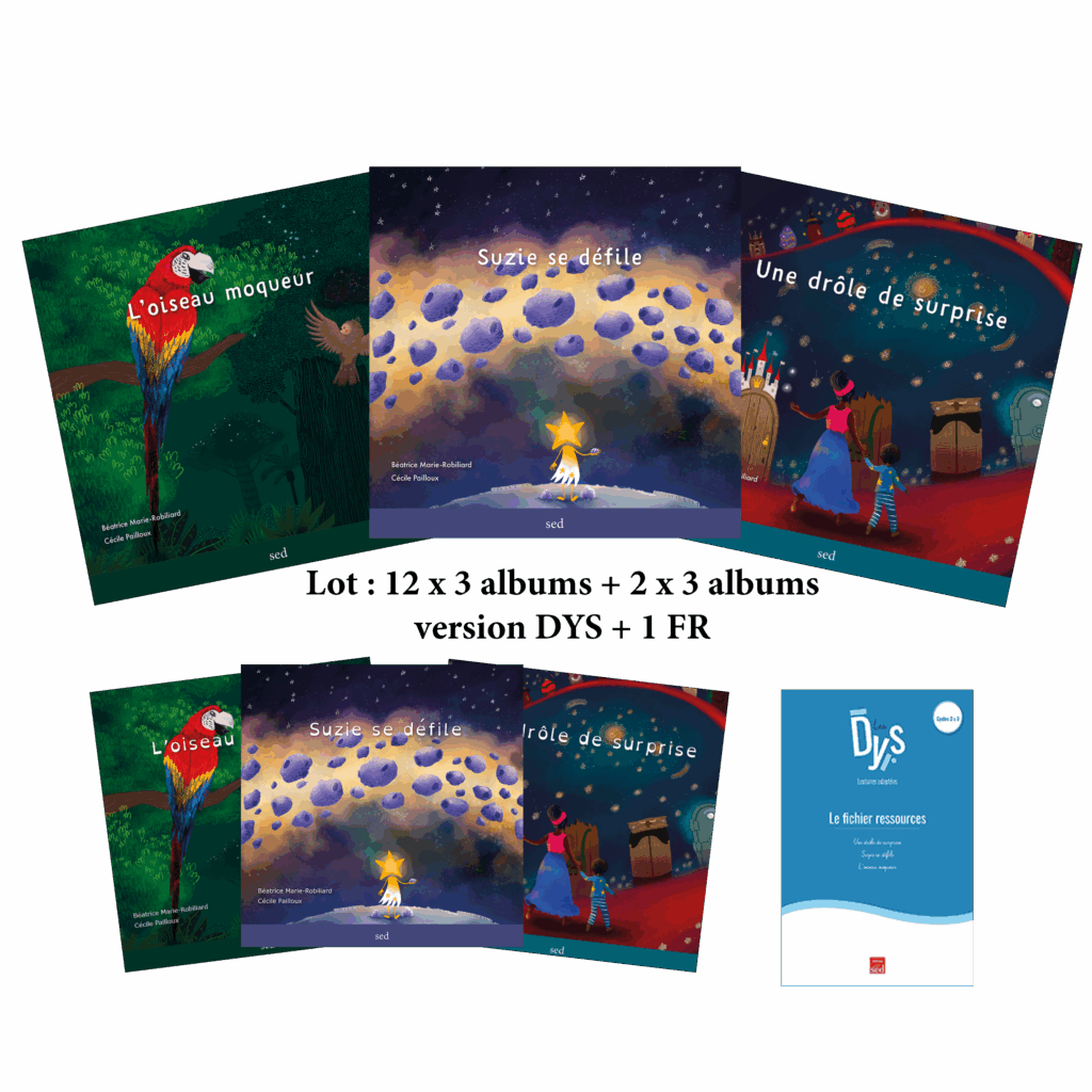 LECTURE FACILITEE - 12x3 albums + 2x3 albums DYS + 1 FR