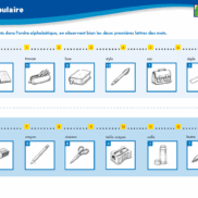 Veritech vocabulaire CE1.3