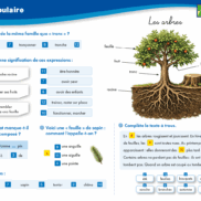 Veritech vocabulaire CE1.5