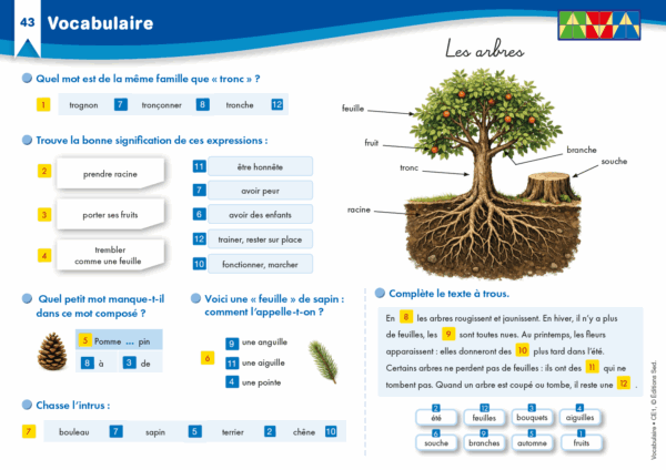 Veritech vocabulaire CE1.5