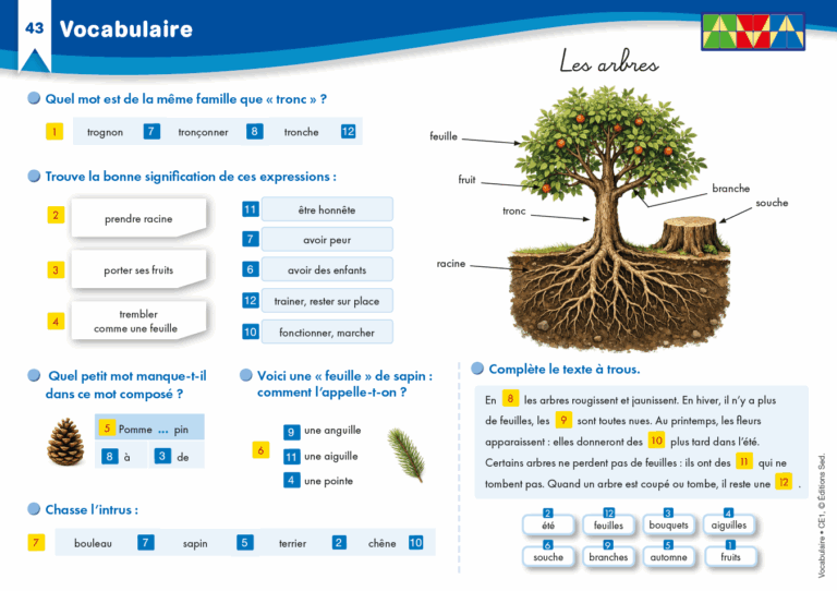 Aperçu : Vocabulaire – CE1