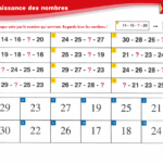 VERITECH - Connaissance des nombres de 0 à 50 - CP – aperçu 6