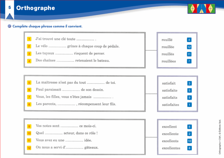 Aperçu : Orthographe – CM1