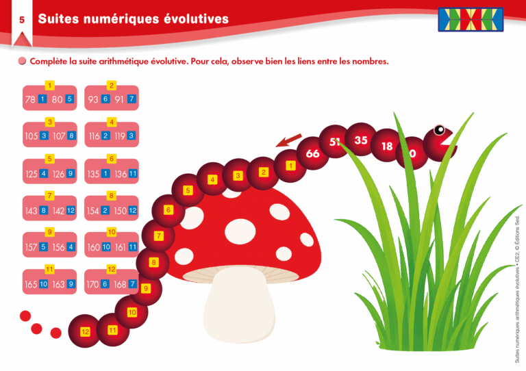 Aperçu : Suites numériques arithmétiques évolutives – CE2